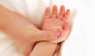 小蝌蚪不想找妈妈了 小蝌蚪不想找妈妈了