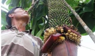 如果我们能在一起 如果我们能在一起