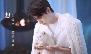 手机壁纸2021最新壁纸 手机壁纸2021最新壁纸